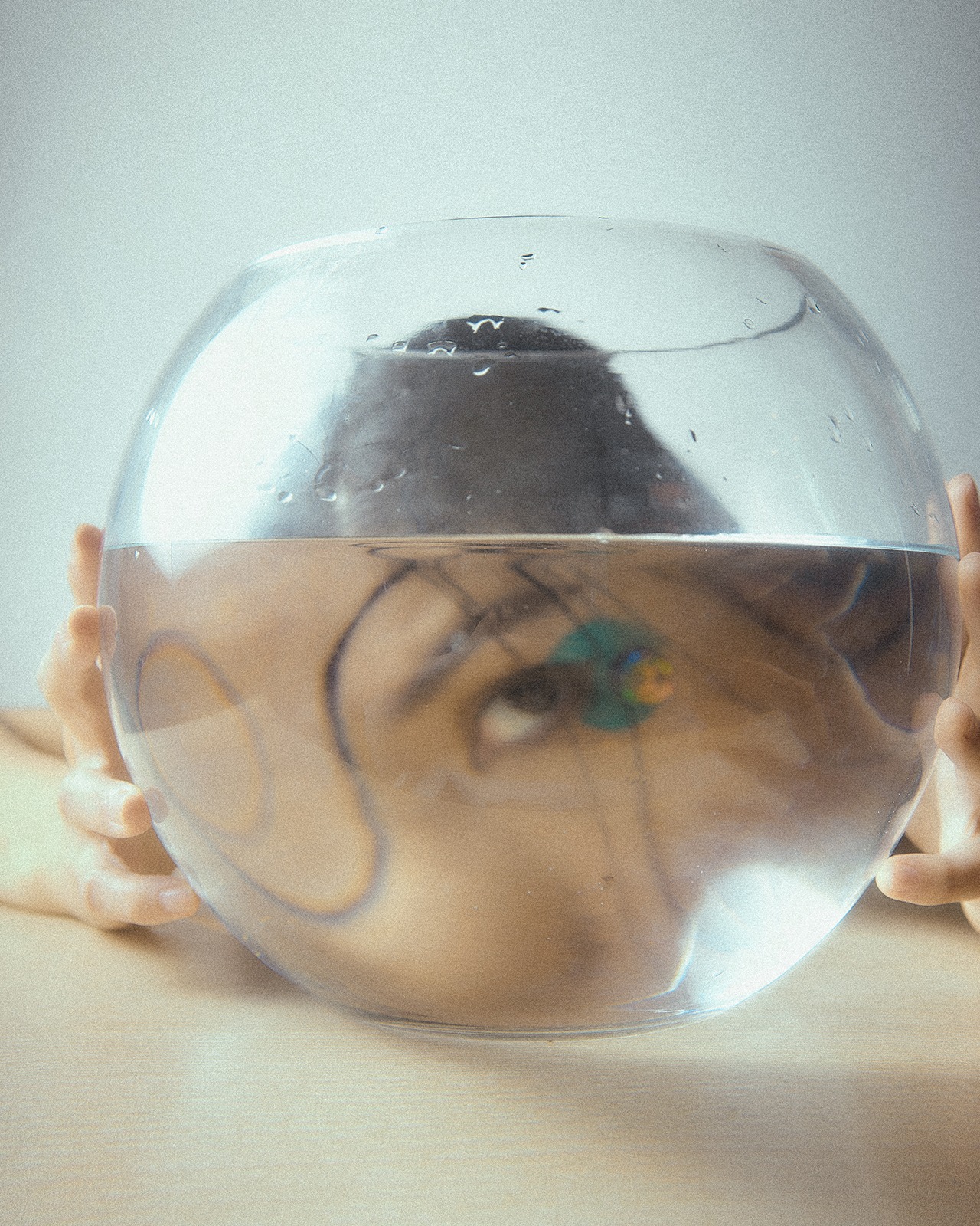 The Observatory - Through the Looking-Glass | Spotlight: Narelle Kheng